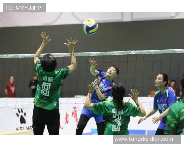 权威发布：2023年排球运动员个人能力实力排行榜全解析