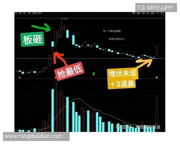 杭州篮球队与南京篮球队的比赛节奏分析与复盘探讨 杭州篮球队与南京篮球队的比赛节奏分析与复盘探讨