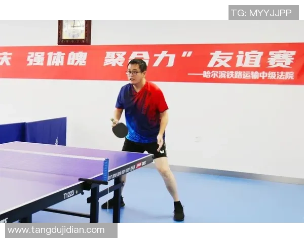 武汉羽毛球队在挑战赛中的耐力表现分析与点评 武汉羽毛球队在挑战赛中的耐力表现分析与点评