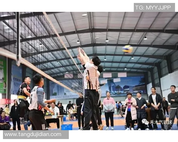 深入探讨成都排球队比赛经验的异同与影响因素分析 深入探讨成都排球队比赛经验的异同与影响因素分析