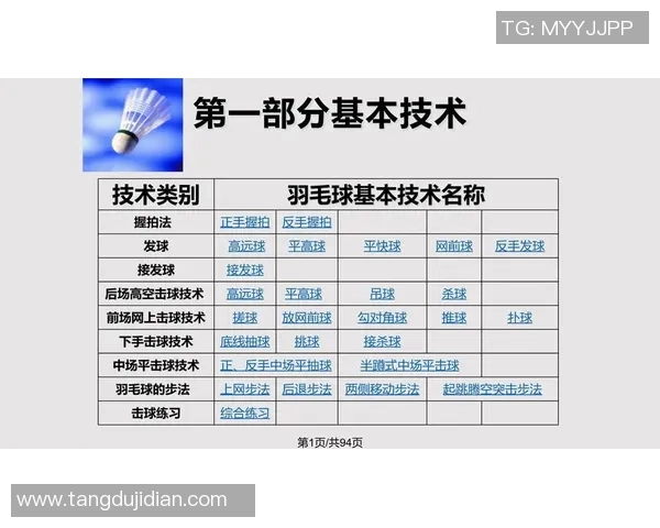羽毛球专题：聚焦杭州羽毛球队的战术