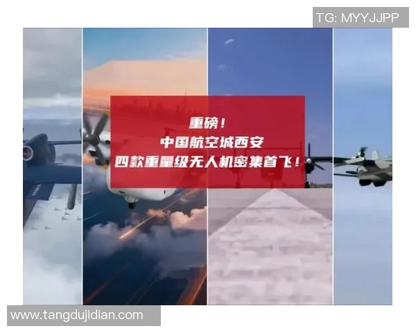 重磅专题：西安飞盘队的阵地战革新