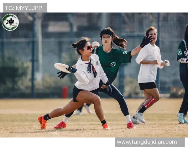 2026飞盘节奏排行榜：深圳飞盘队位居第6名