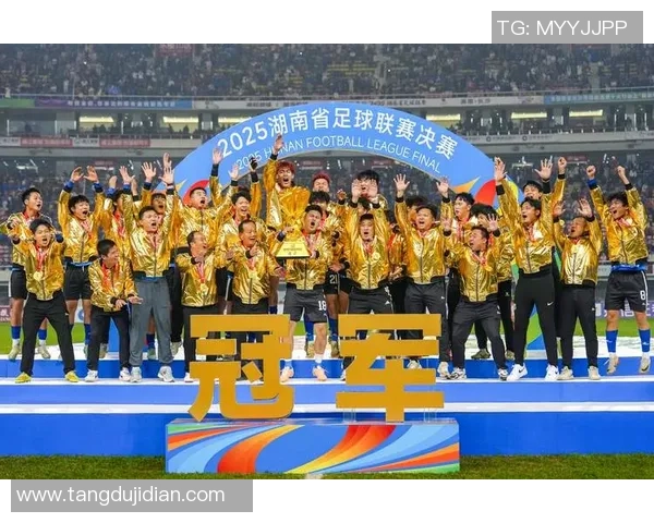 最新足球实力TOP10：武汉足球队领跑